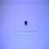 204990small